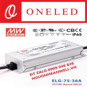 Báo Giá Bộ Nguồn Meanwell ELG-75-36A