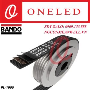 day-curoa-pl-1900-bando